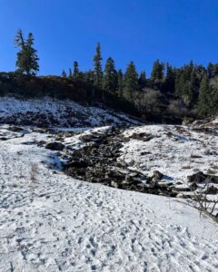 Trail Photo