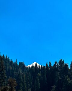 Trail Photo