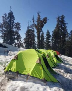 Campsite Photo