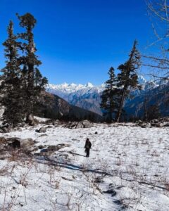 Trail Photo