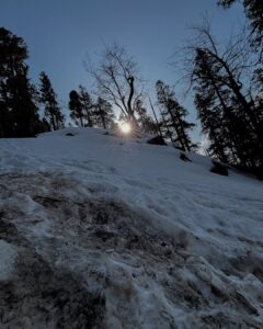 Trail Photo